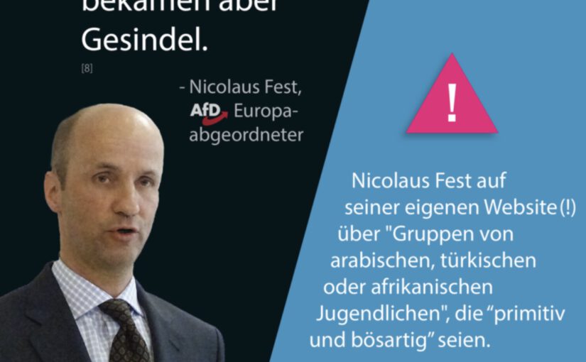 AfD Zitate Gastarbeiter Nicolaus Fest Europaabgeordneter