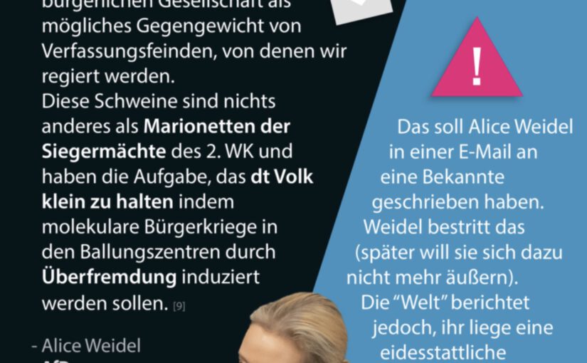 Die dummen Aussagen von Alice Weidel und welche perfiden Ziele sie damit verfolgt