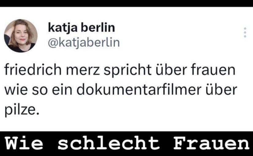 Warum Merz kein Feministenfreund ist. Die mehrfache Entlarvung von Merz als Fan von Frauennachteilen