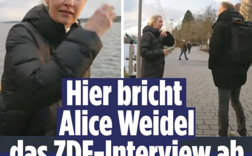 Alice Weidel: Steuerflucht, Faktenflucht – und unrechtmäßige Bundestagsabgeordnete?