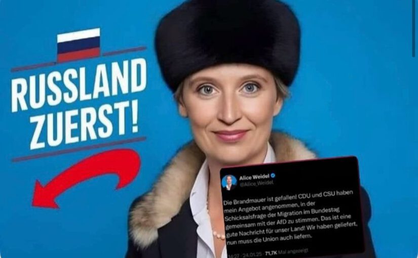 Alice Weidel – Aus meiner Sicht rechtsextrem!