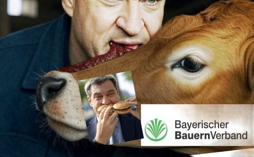 Markus Söder (CSU) für die Fleischlobby, Milchlobby, Butter-Lobby, Zuckerrübenlobbyund die Zuckerindustrie: Populistischer geht es nicht mehr (Bild KI-generiert)