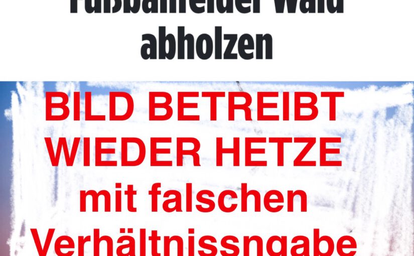 WALD-MÄRCHEN IN DER BILD: Wie Springer, KKR & BlackRock Windkraft zum Feindbild machen