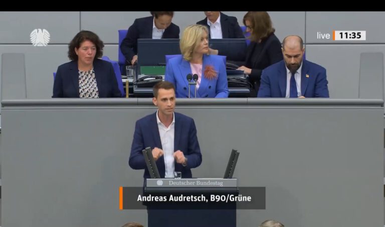 Andreas Audretsch (SPD).