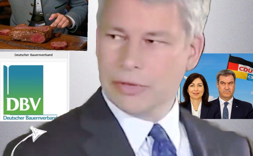 Steffen Bilger Parlamentarischer Geschäftsführer der CDU/CSU-Bundestagsfraktion nennt die Grünen ideologisch und wird dabei selbst entlarvt. (Foto ki-generiert)