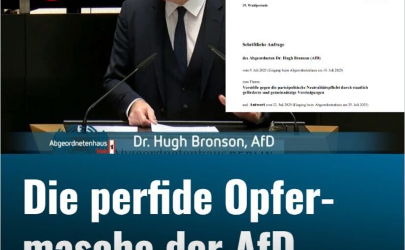 AfD greift Demokratie an – und CDU macht mit: Gemeinnützigkeit nur noch für Schweiger?