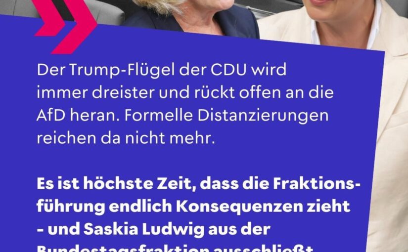 CDU flirtet mit der AfD – Weidel und Ludwig vereint unter Orbáns rechter Flagge!