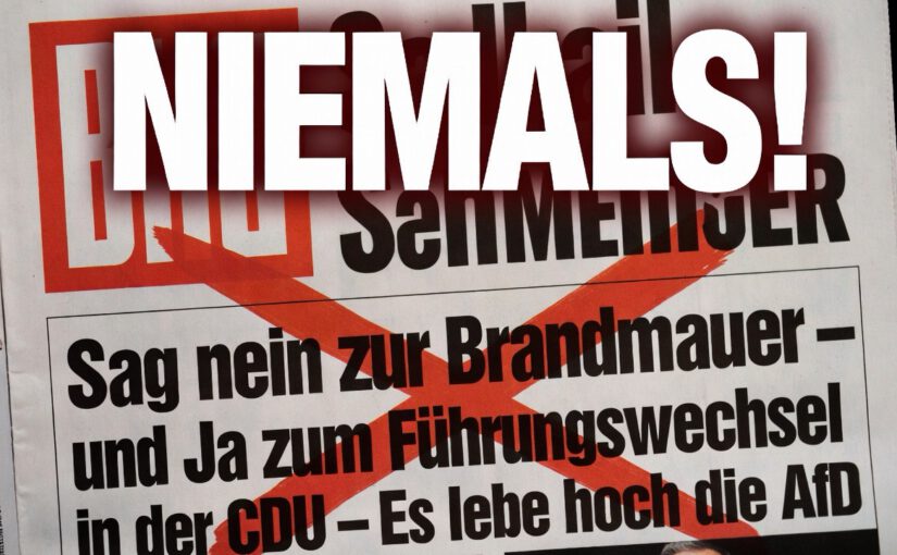 Merz sagte NEIN ZUR AfD – Döpfner von Axel Springer sagte dann wohl: „Das werden Sie noch bereuen!“